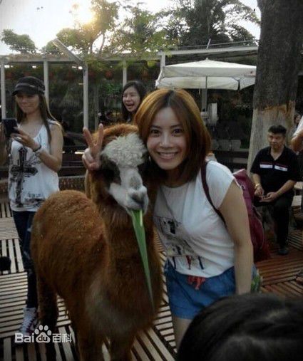 徐怀钰(Yuki Hsu)生活照生活照相册