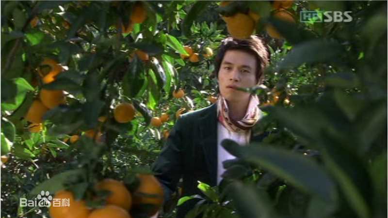 李栋旭( /Lee Dong Wook/ イ ドンウク)电视剧图册第2册素颜照相册