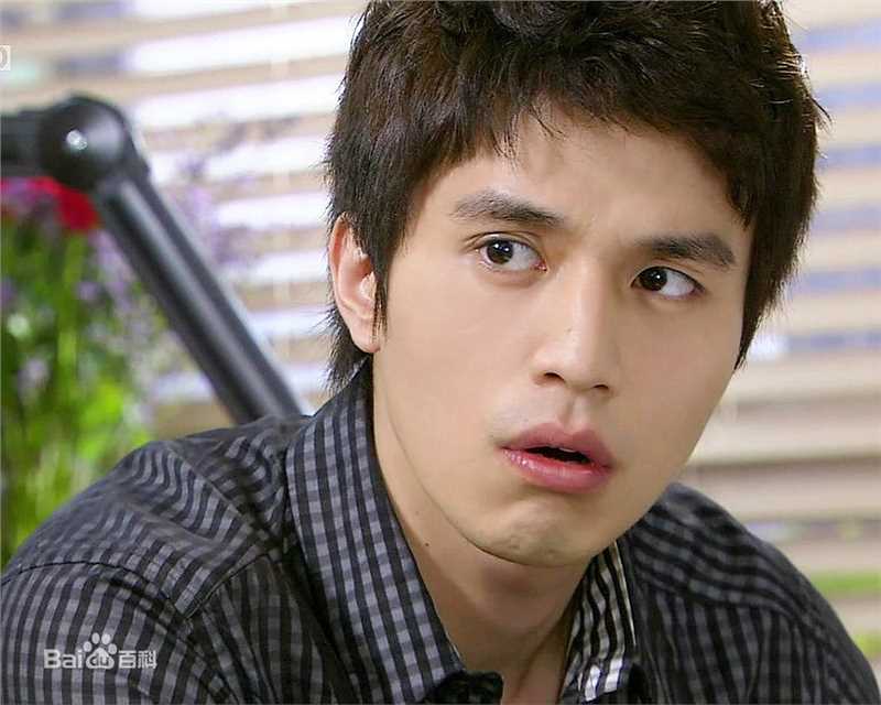 李栋旭( /Lee Dong Wook/ イ ドンウク)2009 伙伴/搭档素颜照壁纸