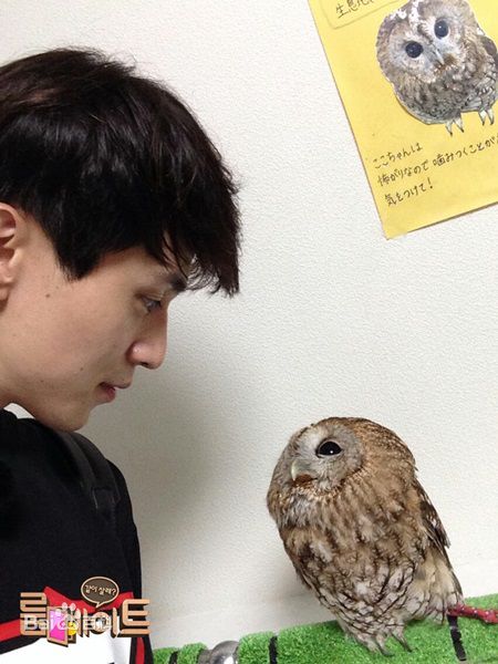 李栋旭( /Lee Dong Wook/ イ ドンウク)综艺节目素颜照相册