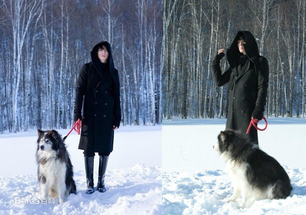 李栋旭( /Lee Dong Wook/ イ ドンウク)最优质杂志相册