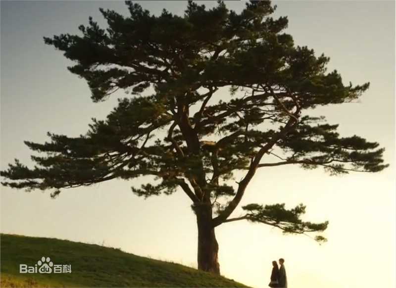 李栋旭( /Lee Dong Wook/ イ ドンウク)泡泡糖性感图片图集