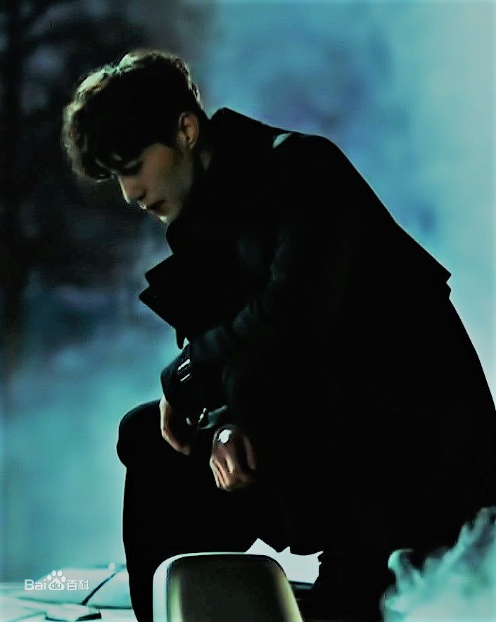 李栋旭( /Lee Dong Wook/ イ ドンウク)电视作品第四册图片图集