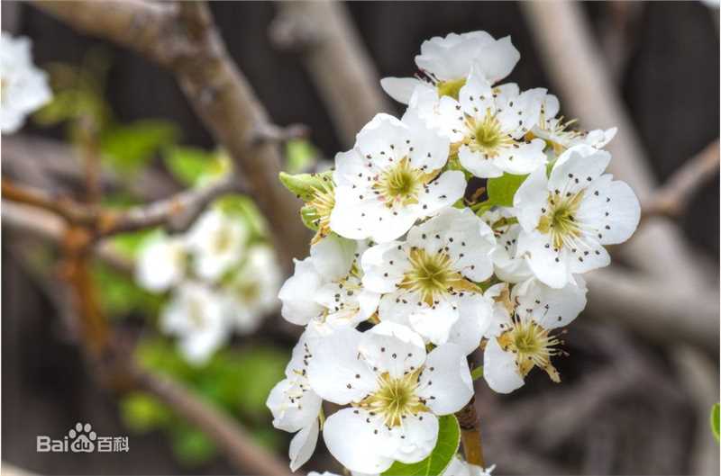 刘东根(，Yoo Dong Kun)前后照片
