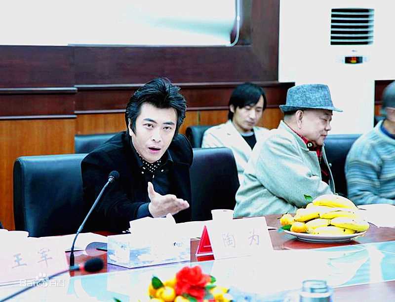 陶为(TAOWEI)-中国喜剧美学高峰论坛主题报告图片图集