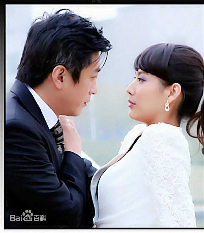 精选陶为(TAOWEI)