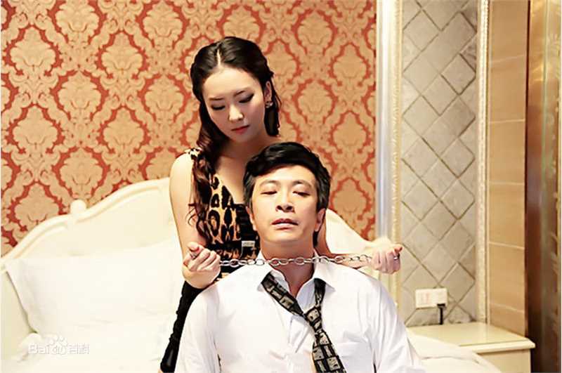 精选陶为(TAOWEI)