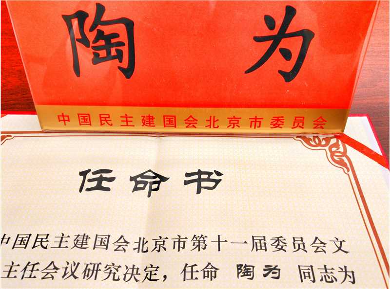 陶为(TAOWEI)-政府机构聘任状壁纸壁纸