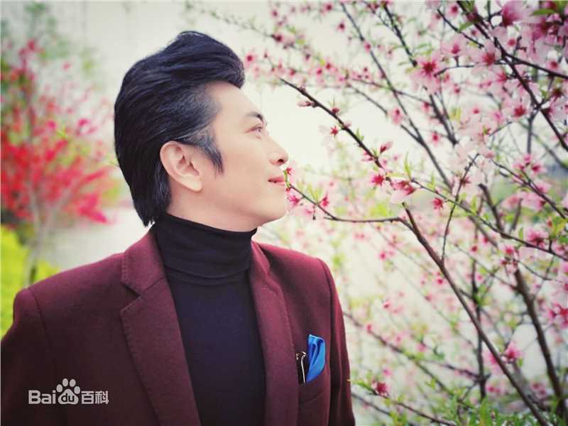 精选陶为(TAOWEI)