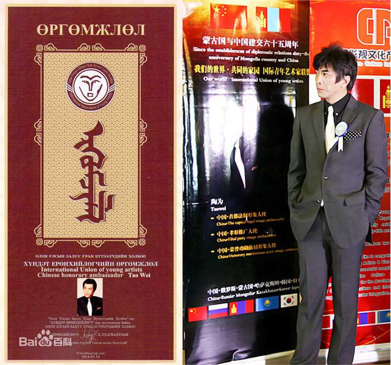 精选陶为(TAOWEI)