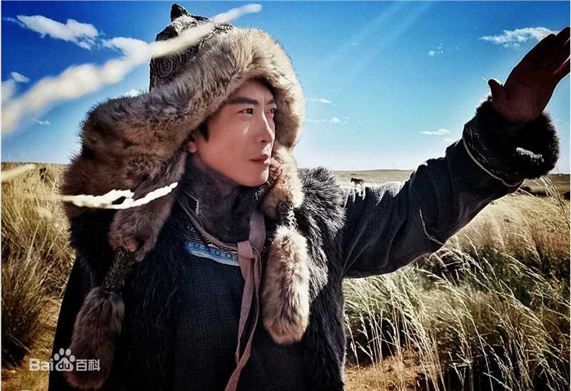 精选陶为(TAOWEI)