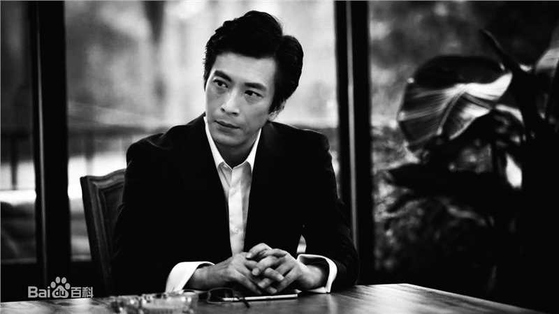 精选陶为(TAOWEI)