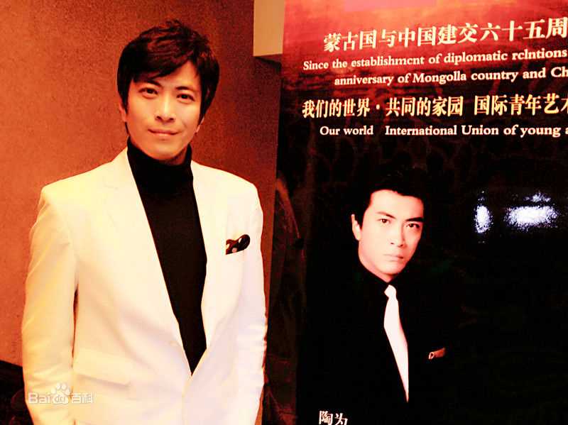 精选陶为(TAOWEI)