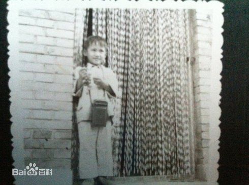 高清邢博(XING BO)图片