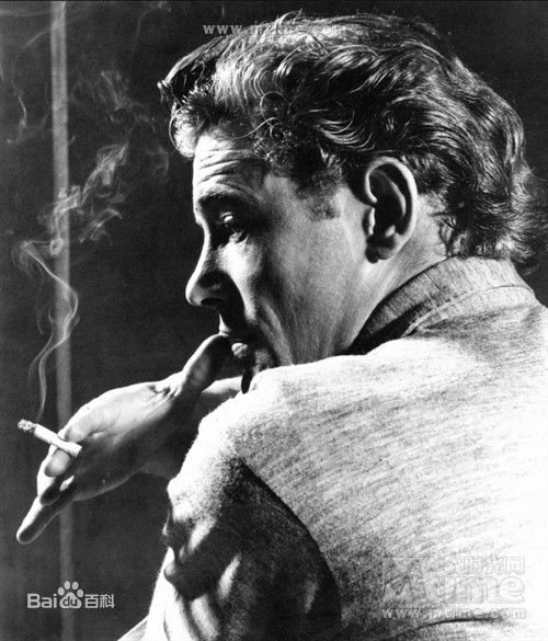 彼得·西缪斯·罗康·奥图(Peter Seamus Lorcan O'Toole)彼得·奥图前后照片