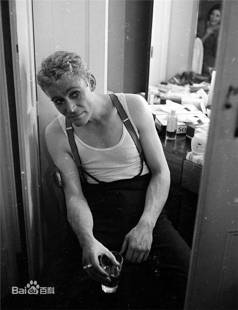 彼得·西缪斯·罗康·奥图(Peter Seamus Lorcan O'Toole)彼德·奥图性感图片图集