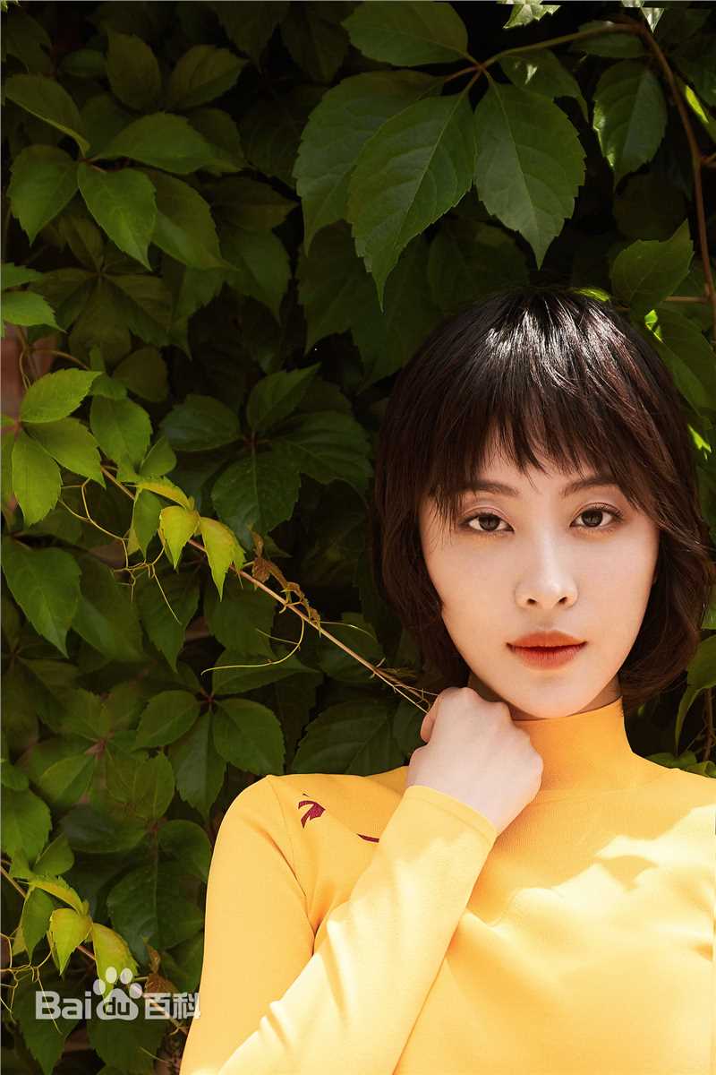 孔宋今精选图册