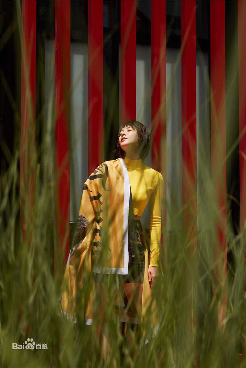 孔宋今精选图册