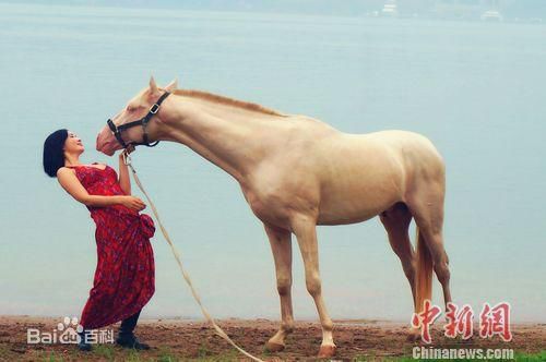 杨舒婷御马前后照片