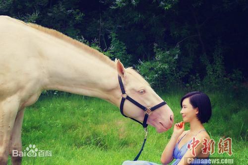 杨舒婷御马前后照片