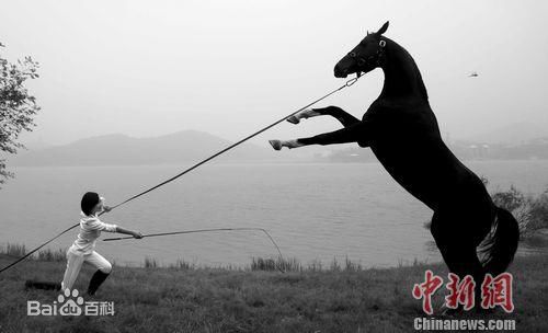 杨舒婷御马前后照片