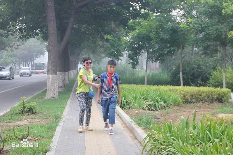 郑伟(Kevin·Z)精选剧照