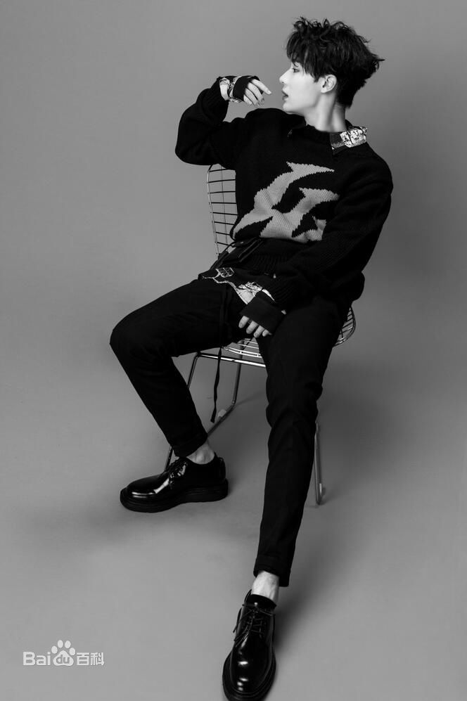 李岱昆照片图册