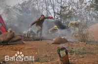 战卫华饰陆云龙《大酒商》精选剧照