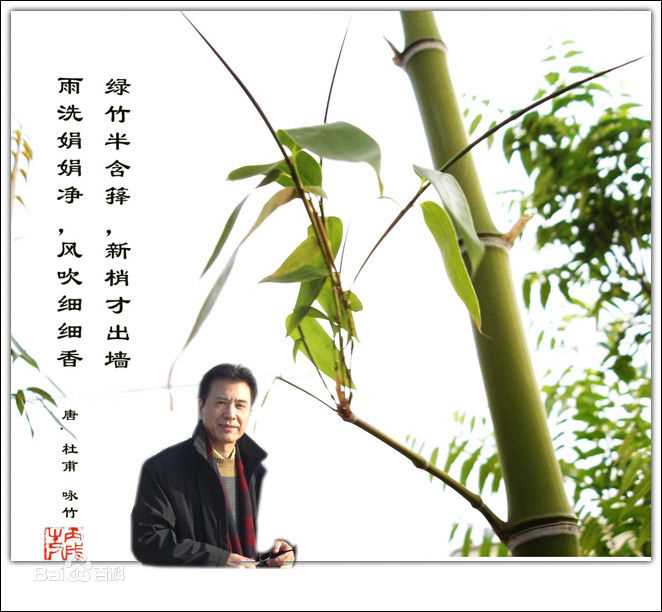 王华英生活工作照性感图片图集