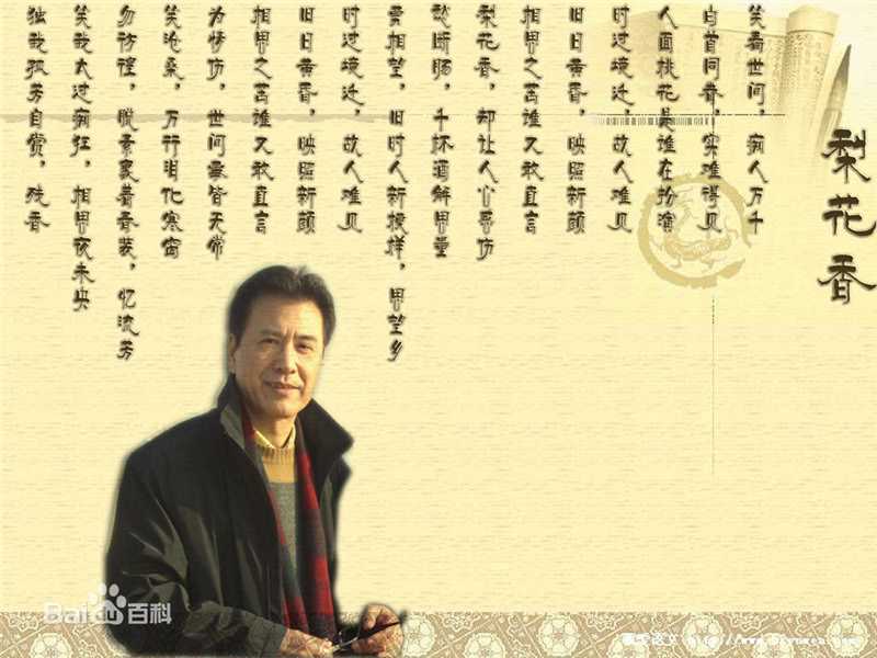 王华英生活工作照性感图片图集