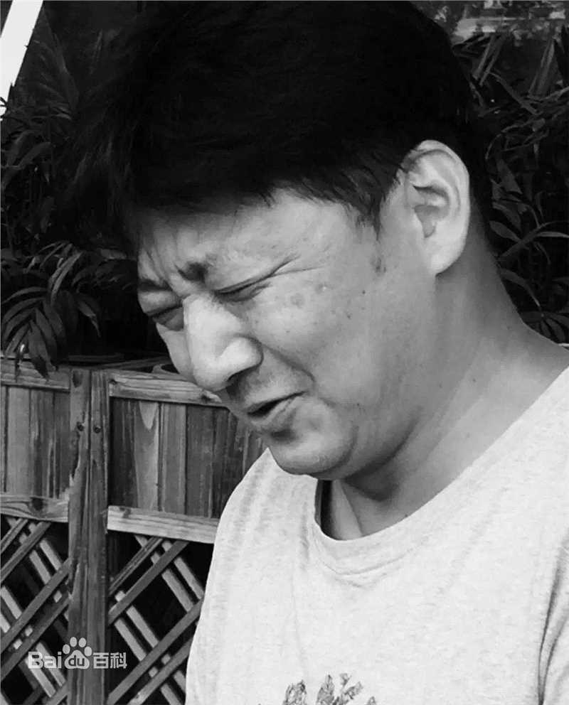 王砚辉生活照前后照片