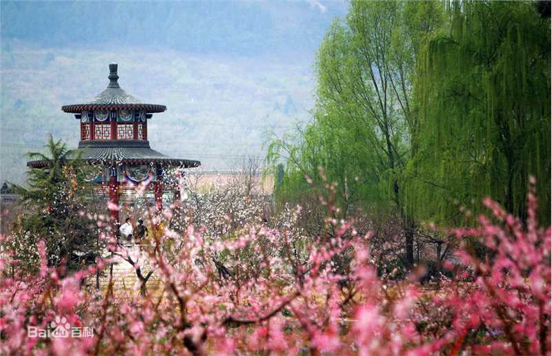 最全温玉娟(Wen Yujuan)壁纸