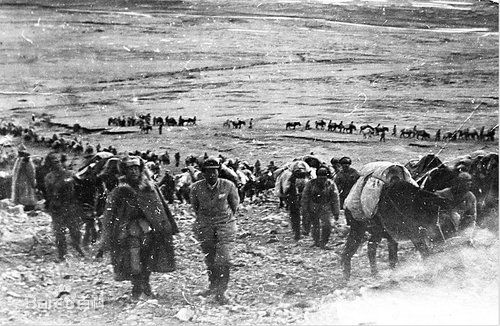 最全范明(Ming Fan)壁纸