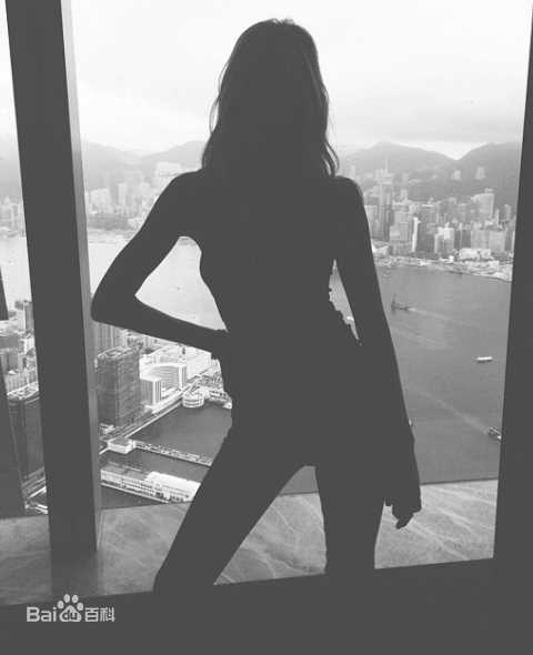 妮可拉·佩尔茨(Nicola Peltz、Nicola Anne Peltz)前后照片