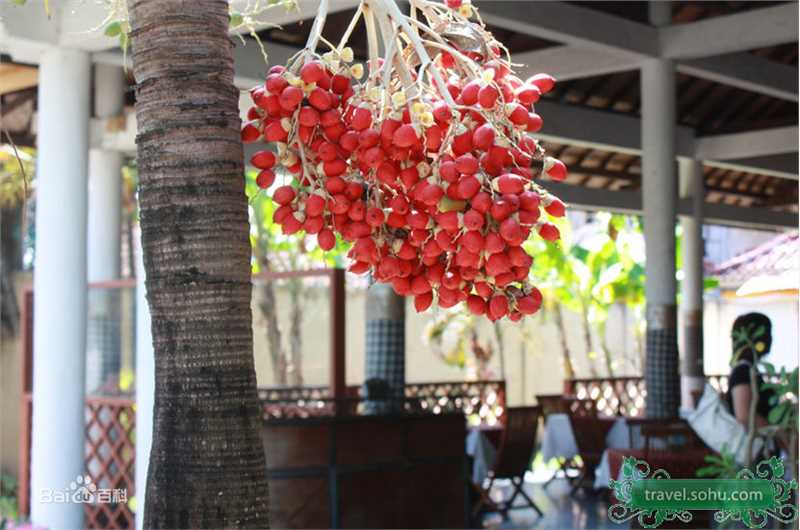 杨绍林精彩图册