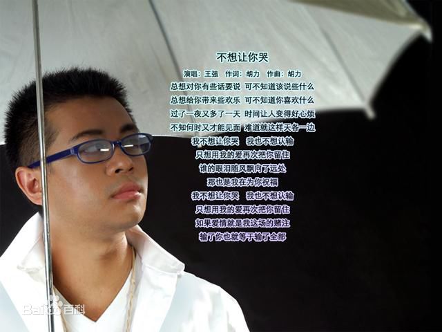 王强(Johnston)演唱活动照壁纸壁纸