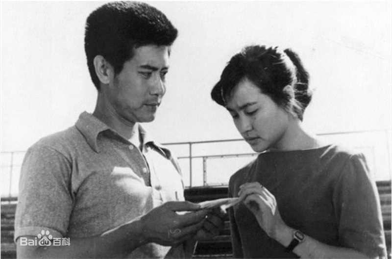 李晨声作品前后照片