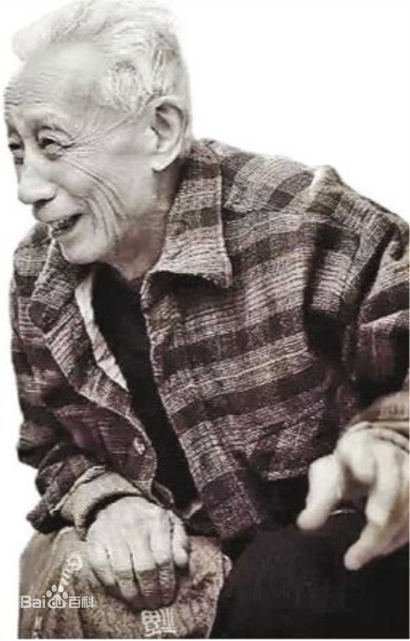 最全王金璐壁纸