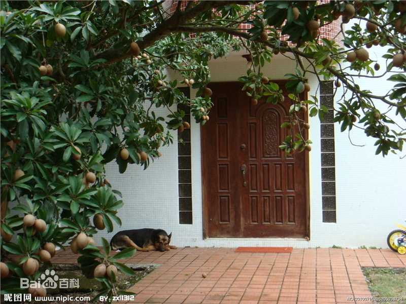 最全宋笠娜素颜照