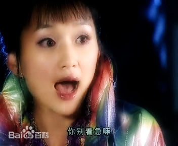 章艳敏喜气洋洋猪八戒和福星高照猪八戒饰铁扫图片图册