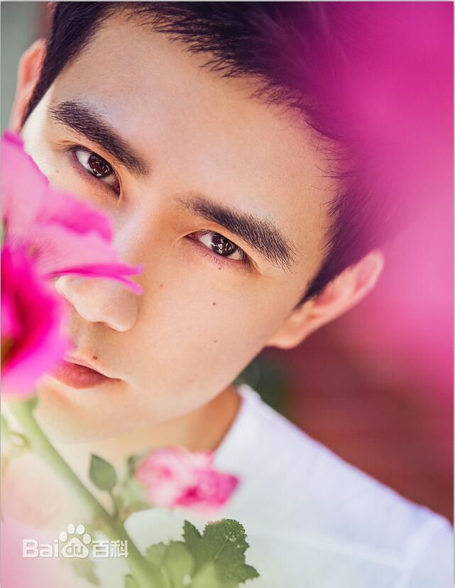 蔡宜达最优质相册