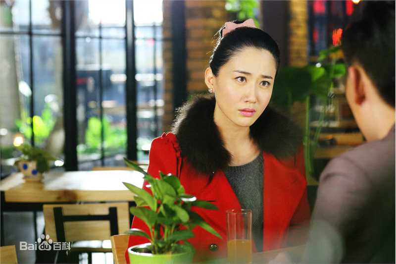 最优质司珂华在电视剧《煮妇的幸福生活》中的相册