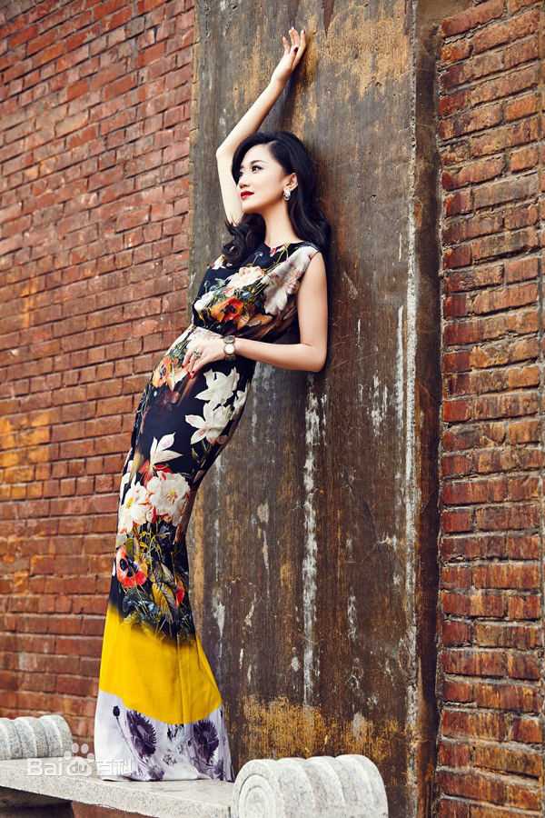 司珂华复古街景图册