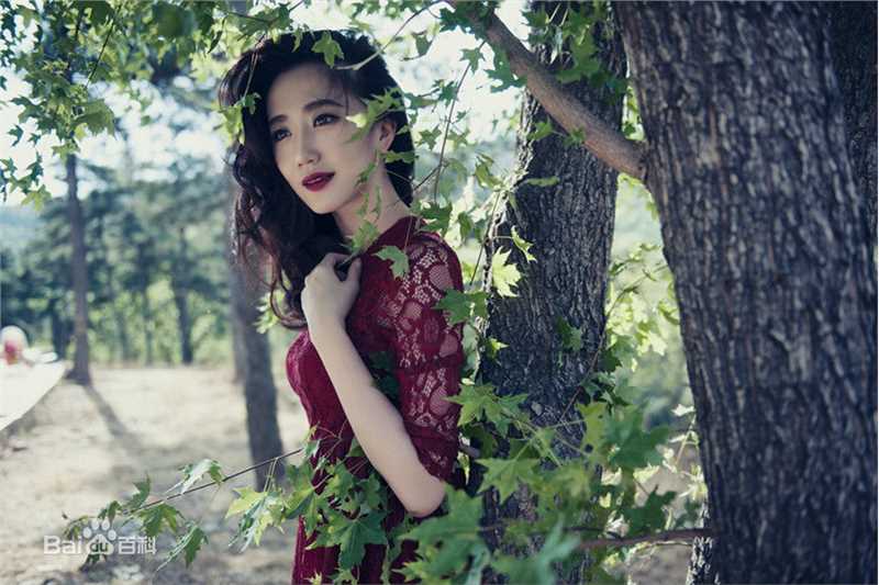 司珂华夏花灿烂素颜照相册