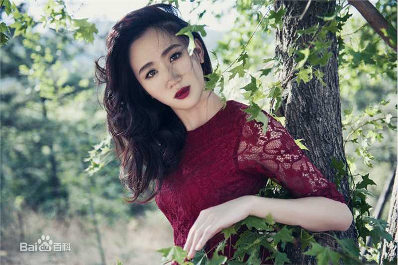 司珂华夏花灿烂素颜照相册