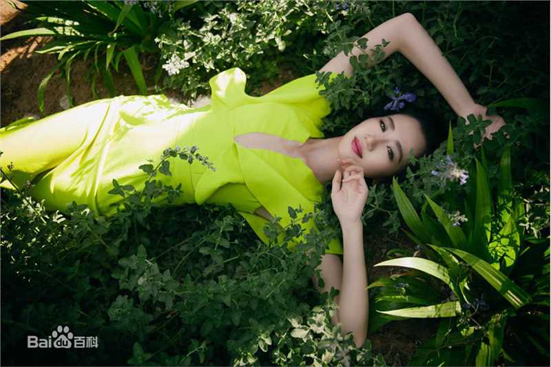 司珂华高清郊野图集