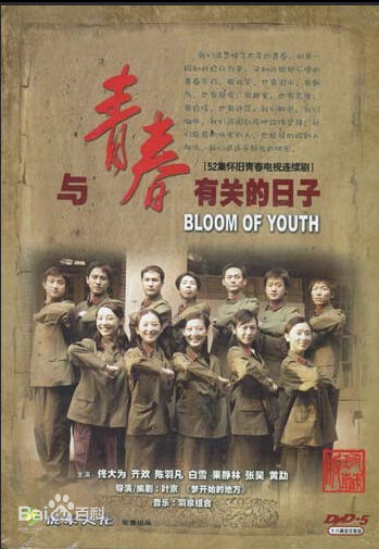 最全司珂华壁纸