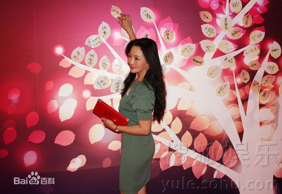 原华(Hua Yuan)“中国消除贫困奖”爱心大使图片图册