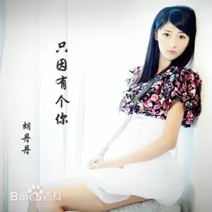 最全胡丹丹(ile)壁纸