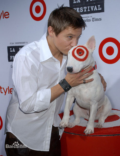 精选杰瑞米·雷纳(Jeremy Renner)精彩图册